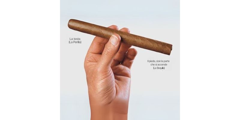 Anatomia di un Habano: L'Arte Secolare dei Sigari Cubani - Un Viaggio tra Sapori, Tradizione e Maestria